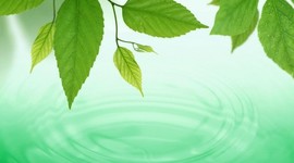 Timeline: Tratados ambientales