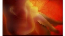 Timeline: retrospectiva das origens