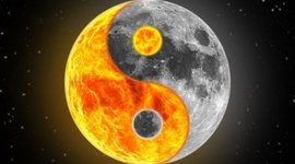 Timeline: Restropectiva Das Origens