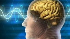 Timeline: Técnicas psicofisiológicas para el estudio de la relación entre el cerebro y la conducta