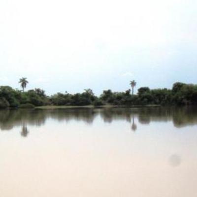 Timeline: linea de tiempo