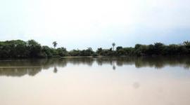 Timeline: linea de tiempo