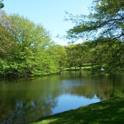 Timeline: Organizaciones y acuerdos  que defienden el medio ambiente