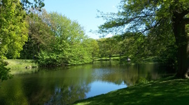 Timeline: Organizaciones y acuerdos  que defienden el medio ambiente