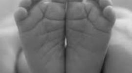 Timeline: HISTORIA FELIPE ROMERO