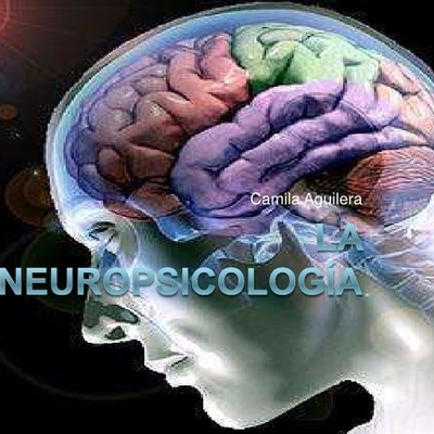 Timeline: HISTORIA DE LA NEUROPSICOLOGÌA