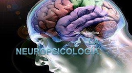 Timeline: HISTORIA DE LA NEUROPSICOLOGÌA