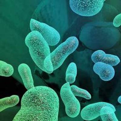 Timeline: BIO- 181 Redemption Assignment