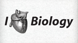 Timeline: Sciences Vs Time (Luis Renteria)