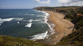 Timeline: Sopelako historia