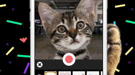 Timeline: Advances in Widgets