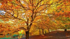 Timeline: acontecimientos importantes en mi vida