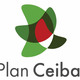 Plan ceibal