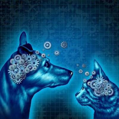 Timeline: Linea de tiempo de estructuralismo funcionalismo gestalt psicoanalisis conductismo cognitivismo humanismo y sistemico linea de tiempo