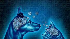 Timeline: Linea de tiempo de estructuralismo funcionalismo gestalt psicoanalisis conductismo cognitivismo humanismo y sistemico linea de tiempo