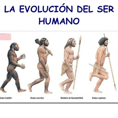 Timeline: Evolución del hombre