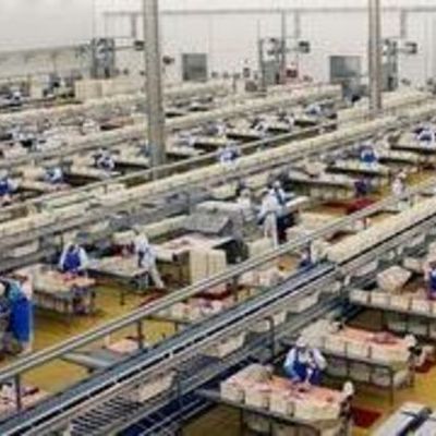 Timeline: GESTIÓN DE RECURSOS HUMANOS EN EL POZO ALIMENTACIÓN