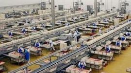 Timeline: GESTIÓN DE RECURSOS HUMANOS EN EL POZO ALIMENTACIÓN