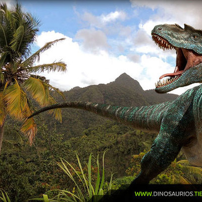 Timeline: Divisiones del tiempo geológico