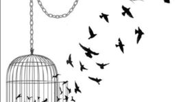 Timeline: Women's Rights Movement~Clara Lemlich