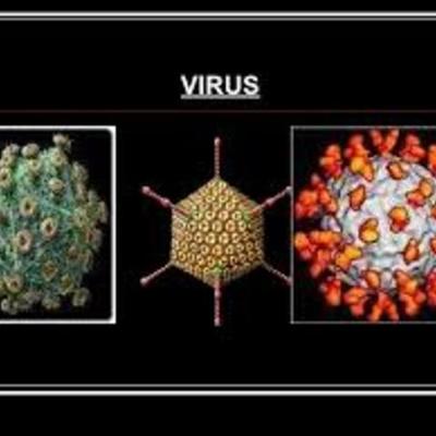 Timeline: HISTORIA DE LA VIROLOGIA POR DORIS DEL CARMEN FUENTES