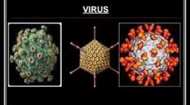 Timeline: HISTORIA DE LA VIROLOGIA POR DORIS DEL CARMEN FUENTES