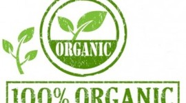 Timeline: agricultura organica