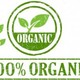 Alimentos organicos 300x206