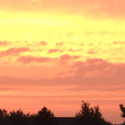 Timeline: ASL 390France Timeline