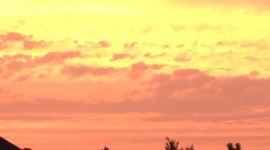 Timeline: ASL 390France Timeline