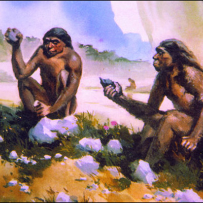 Timeline: EVOLUCIÓN DA TERRA E DOS SERES VIVOS