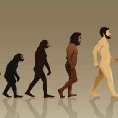 Timeline: Evolución