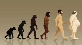 Timeline: Evolución