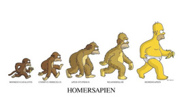 Timeline: Evolución