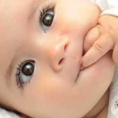 Timeline: ETAPAS DEL EMBARAZO.