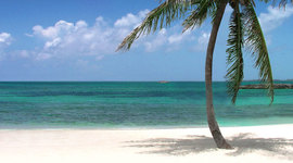 Timeline: My 7 Day Vacation w/ 10000