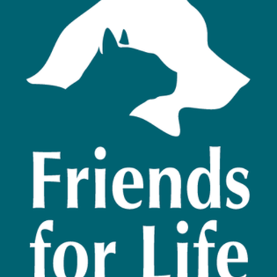 Timeline: Friends for Life