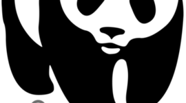 Timeline: World Wildlife Fund