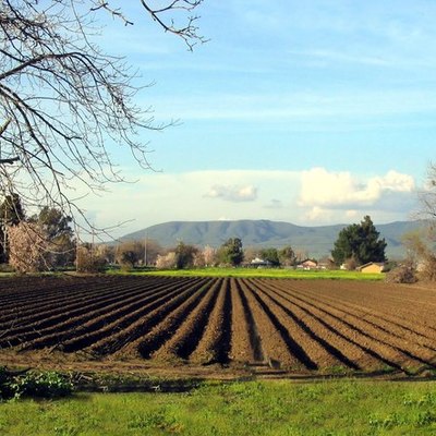 Timeline: Espacio Rural