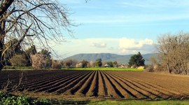 Timeline: Espacio Rural