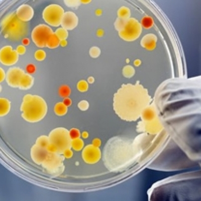 Timeline: Science / Medicine