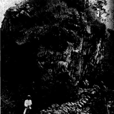 Timeline: El sector cafetero colombiano en el siglo XX (pág. 527)