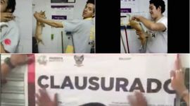 Timeline: +KOTA MALTRATO ANIMAL