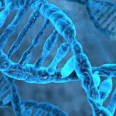 Timeline: DNA Timeline