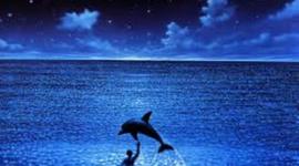 Timeline: historia de la computación