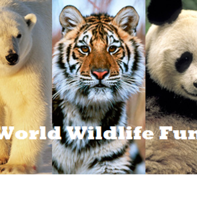 Timeline: World Wildlife Fund