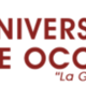 Logo udeo2