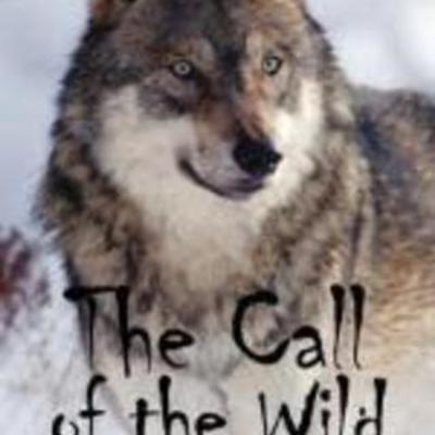 Timeline: The Call of The Wild