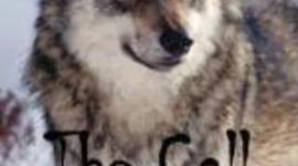 Timeline: The Call of The Wild