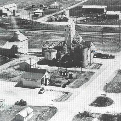 Timeline: Zoie/Sophia